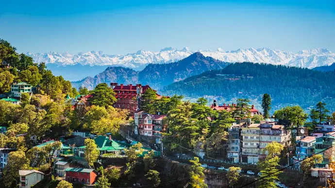 shimla-malroad-ridge-jakhu-mountain-junkey shimla tour packages