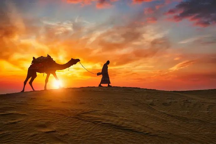 A dramatic camel silhouette over vivid sunset dunes capturing the iconic desert spirit of Rajasthan-mountain-junkey